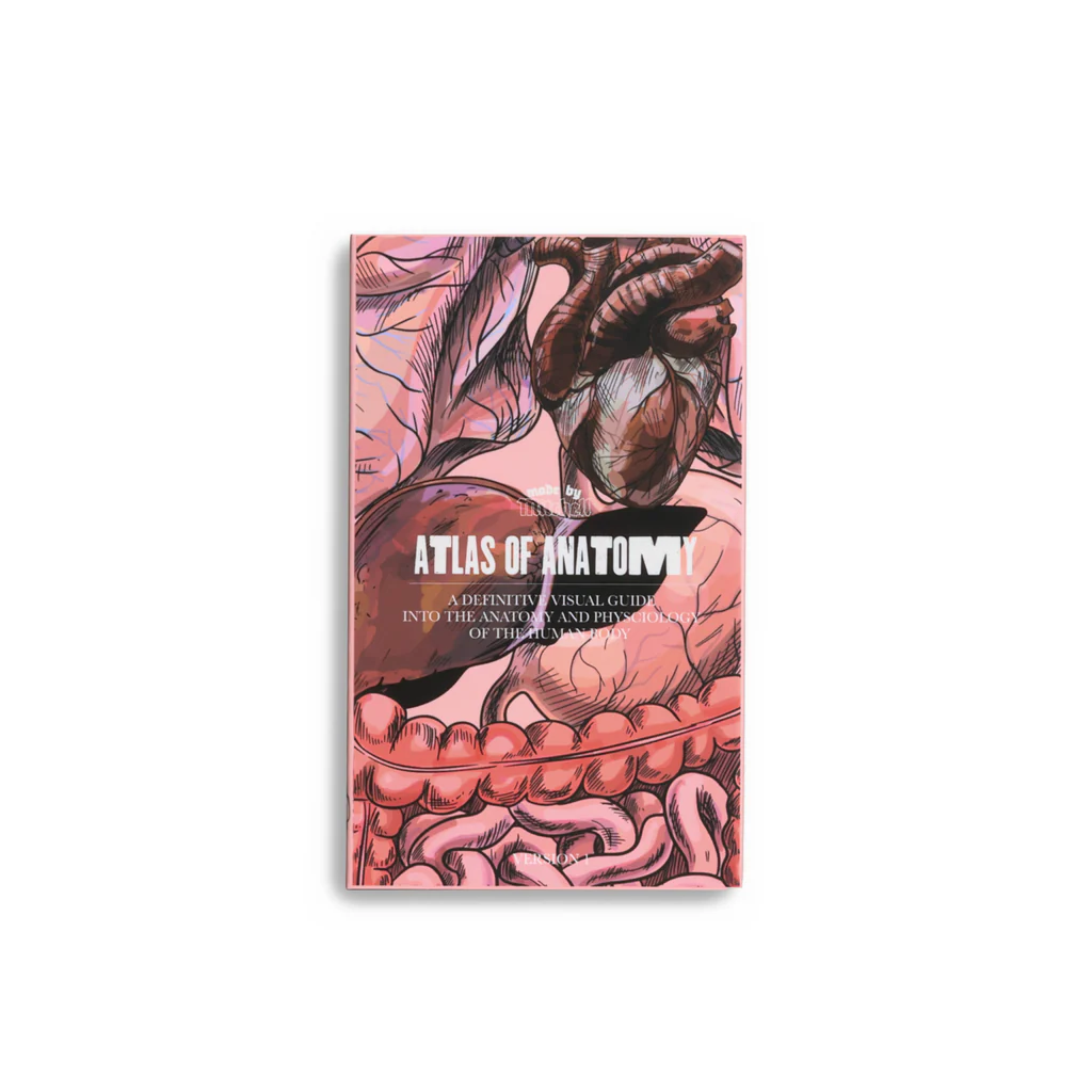 Mini Blursh Book Blusher Palette - Image 4